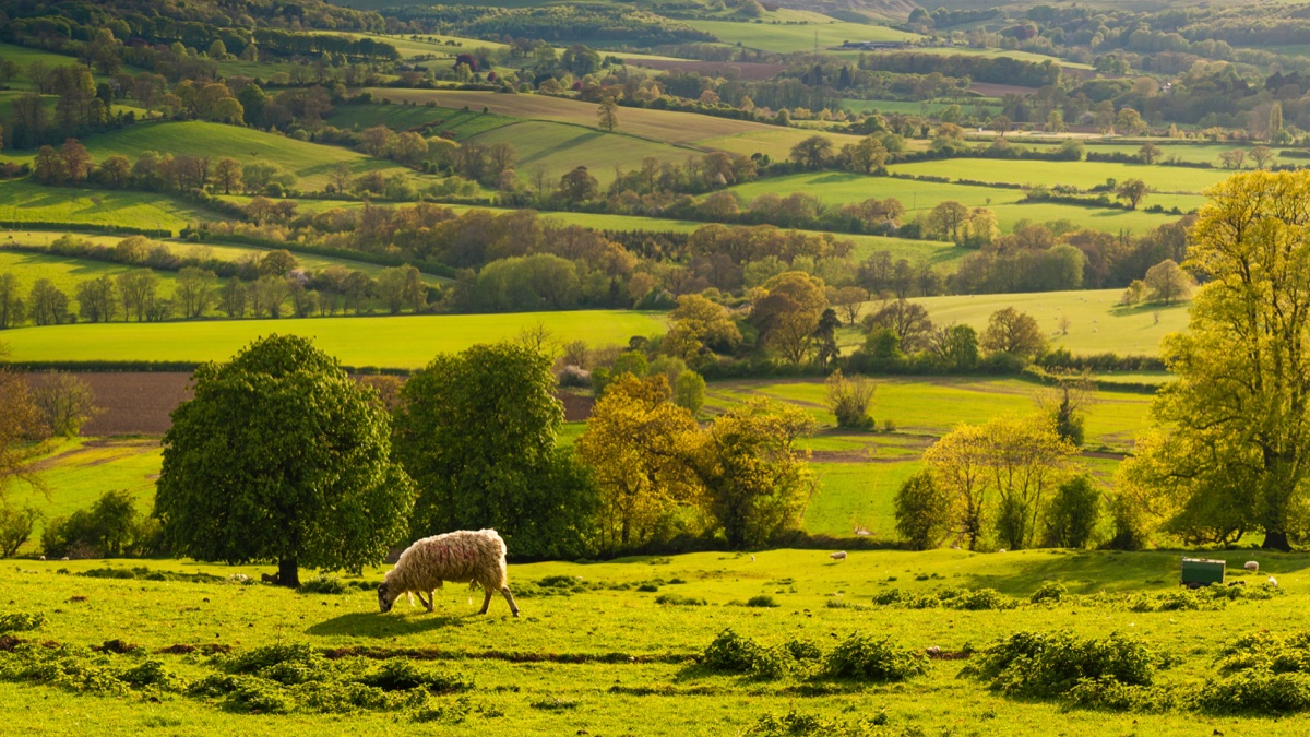 Autumn fields and woodland across the Sudeley Valley near Winchcombe