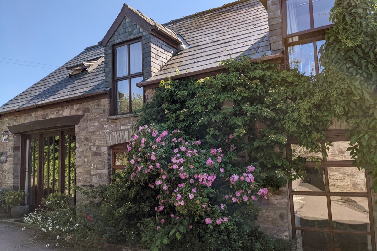 Stone facade with climbing pink roses and slate-roofed dormer windows at Caecrwn
