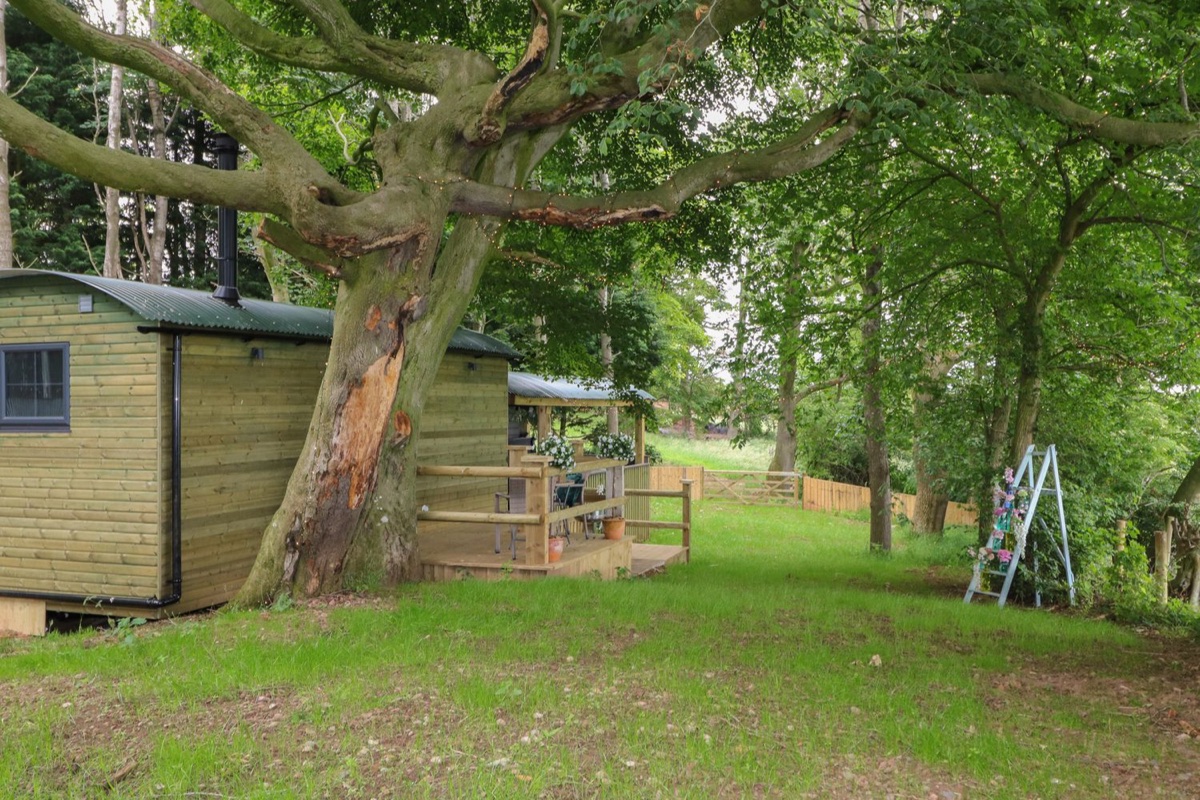 Timber shepherd's huts in a grassy woodland clearing ringed by mature trees at High Rigg Hideaway