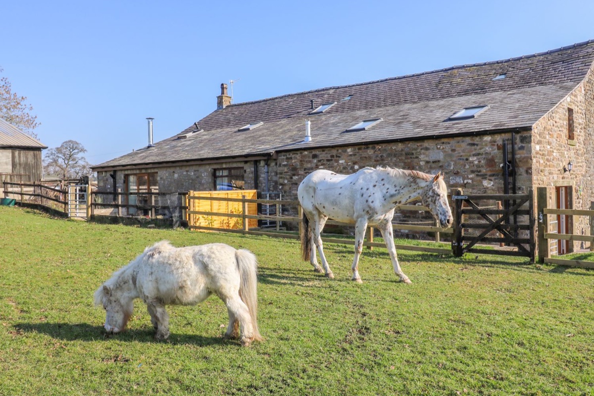 Stable View Cottage yard with horses in front of the stone barn