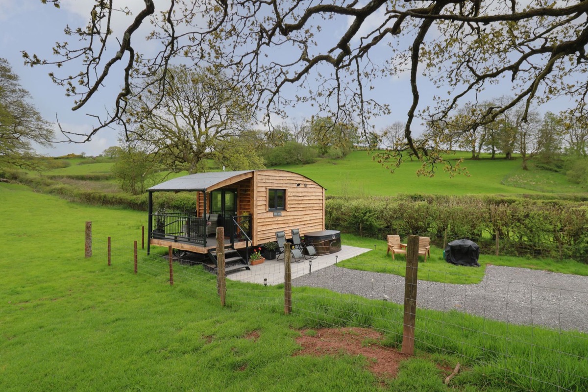 Timber cabin with covered porch and outdoor seating beneath mature oak trees at Wild Acre